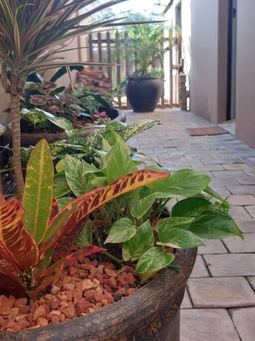 Hide Away On 21 Appartement Mosselbaai Buitenkant foto
